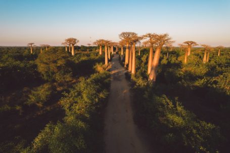 Madagaskar