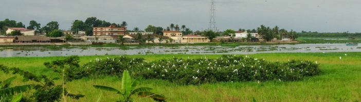 Wybrzeże Kości Słoniowej