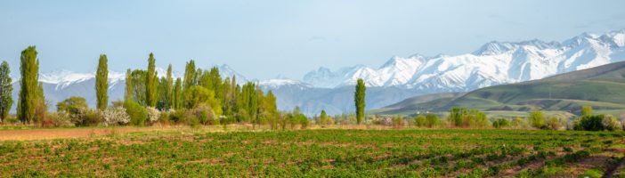 Mendoza Argentyna