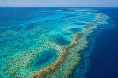 Wielka Rafa Belize