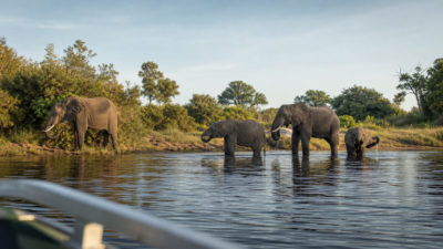 Wycieczki Botswana