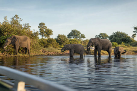 Wycieczki Botswana